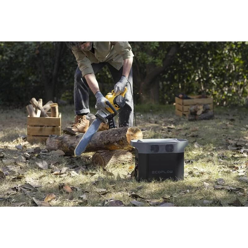 Batterie Portable EcoFlow DELTA 2 EU - Camping Caravaning - 1024Wh - Autonome 7 Batterie Portable EcoFlow DELTA 2 EU - Camping Caravaning - 1024Wh - Autonome â Image 5