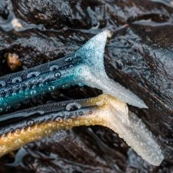 COMBO Leurres Souples Shad Lançon EELO 150 25g AYU/BLEU 18 COMBO Leurres Souples Shad Lançon EELO 150 25g AYU/BLEU -Fishing Shop combo leurres souples shad lancon eelo 150 25g ayubleu 6