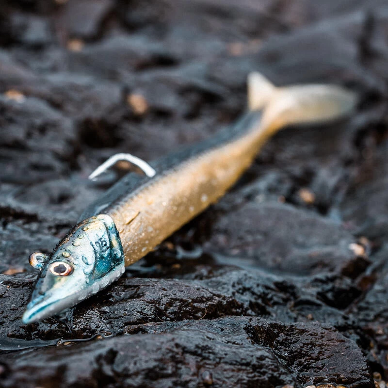 COMBO Leurres Souples Shad Lançon EELO 150 25g AYU/BLEU 12 COMBO Leurres Souples Shad Lançon EELO 150 25g AYU/BLEU – Image 10