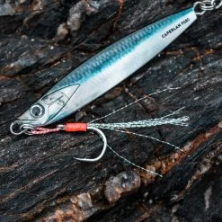 CUILLER BIASTOS 80gr ANCHOIS Pêche Au Leurre En Mer 13 CUILLER BIASTOS 80gr ANCHOIS Pêche Au Leurre En Mer -Fishing Shop cuiller biastos 80gr anchois peche au leurre en mer 3
