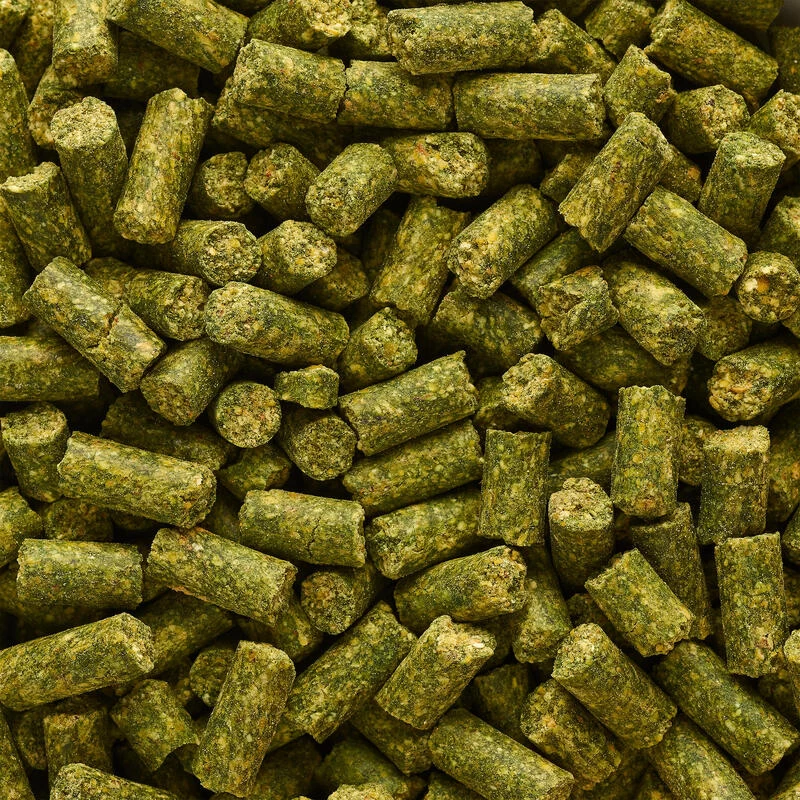 GOOSTER PELLET BABY CORN CHENEVIS EPICE 8MM 0,7KG POUR PECHER LA CARPE AU COUP 4 GOOSTER PELLET BABY CORN CHENEVIS EPICE 8MM 0,7KG POUR PECHER LA CARPE AU COUP – Image 2