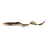 No Brand LEURRES SOUPLES EAU DOUCE REAL EEL 20CM 27G OLIVE X2 -Fishing Shop leurres souples eau douce real eel 20cm 27g olive x2