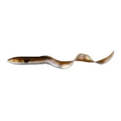 No Brand LEURRES SOUPLES EAU DOUCE REAL EEL 20CM 27G OLIVE X2