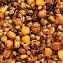 Mélange Graines Cuites 1kg Graines Pêche De La Carpe 6 Mélange Graines Cuites 1kg Graines Pêche De La Carpe -Fishing Shop melange graines cuites 1kg graines peche de la carpe 1